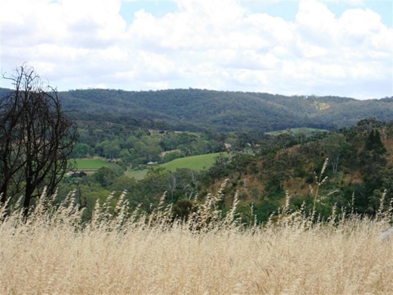 Lot 5 Campbell Road, Penwortham SA 5453