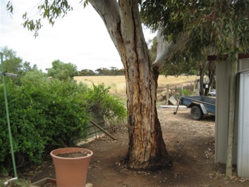 12 Highview Holiday Village, Ardrossan SA 5571