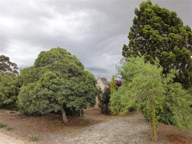 Lot 517 Lindsay Park Road, Moculta SA 5353