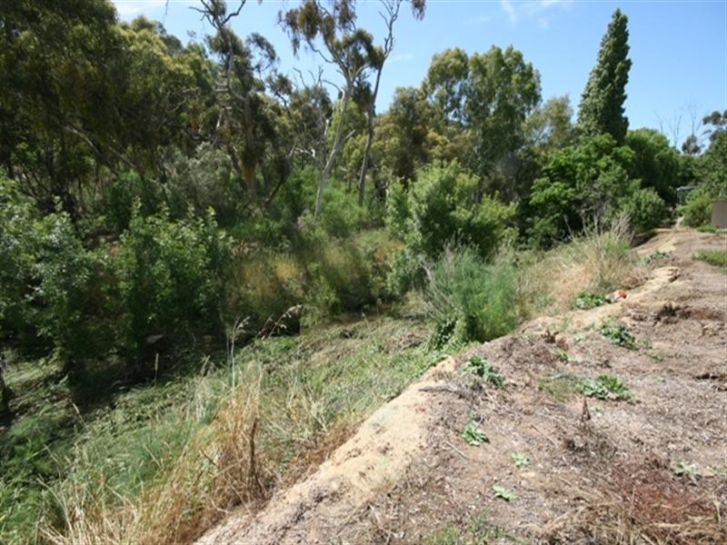 Lot 102 Opie Street, Clare SA 5453
