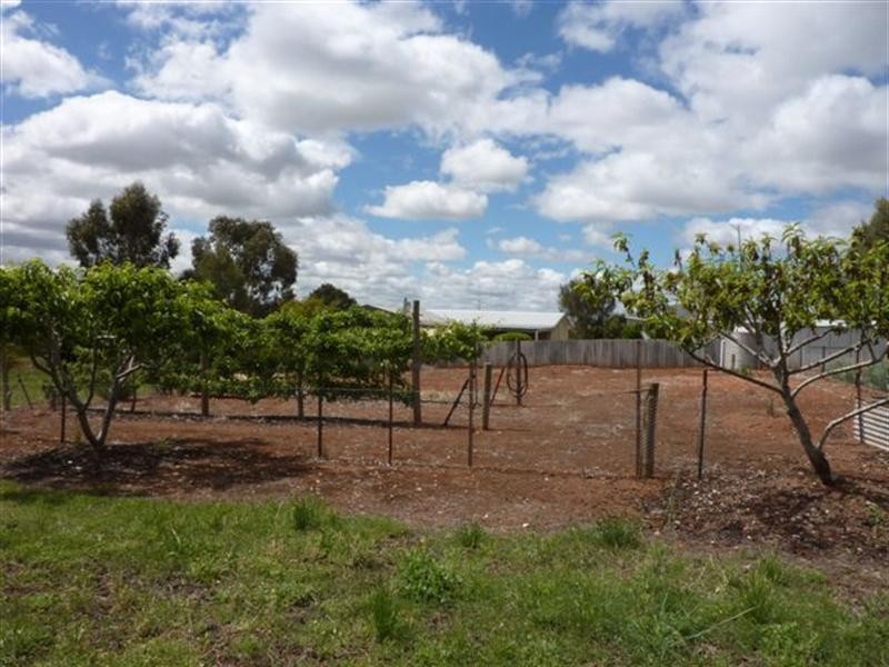 Lot 1 West Street, Auburn SA 5451