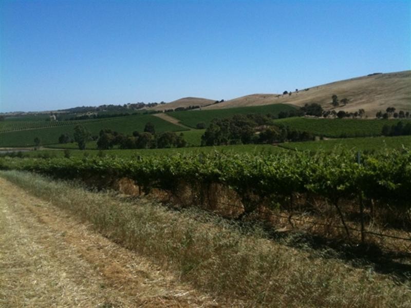 Various lots 4 Vineyards, Clare SA 5453