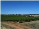 Various lots 4 Vineyards, Clare SA 5453