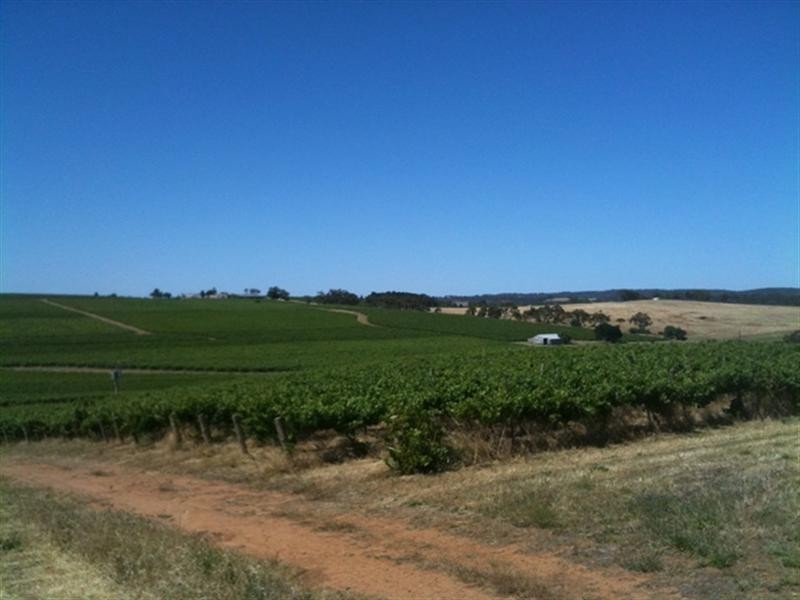 Various lots 4 Vineyards, Clare SA 5453
