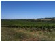 Various lots 4 Vineyards, Clare SA 5453