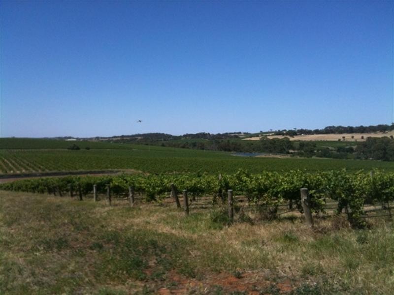 Various lots 4 Vineyards, Clare SA 5453