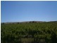Various lots 4 Vineyards, Clare SA 5453