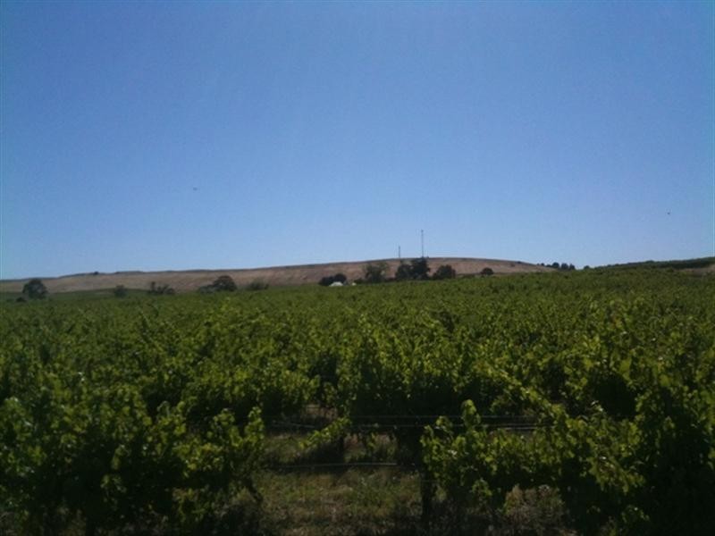 Various lots 4 Vineyards, Clare SA 5453