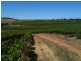 Various lots 4 Vineyards, Clare SA 5453