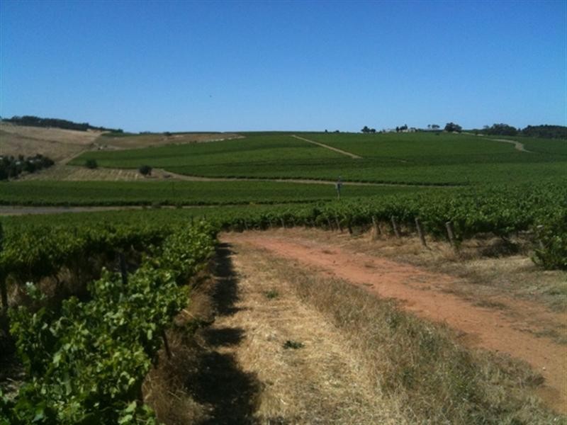Various lots 4 Vineyards, Clare SA 5453