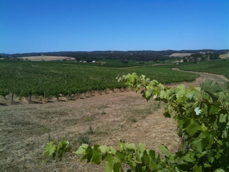 Various lots 4 Vineyards, Clare SA 5453
