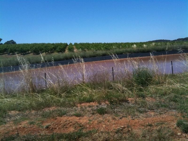 Various lots 4 Vineyards, Clare SA 5453