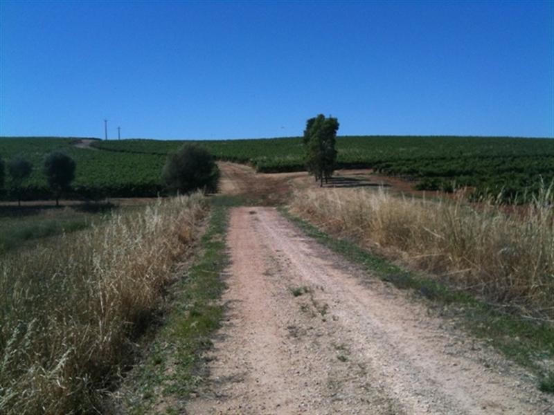 Various lots 4 Vineyards, Clare SA 5453