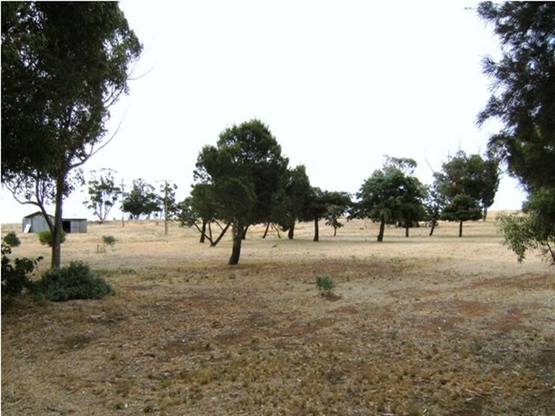 Lot 56 Polville Road, Mount Bryan SA 5418
