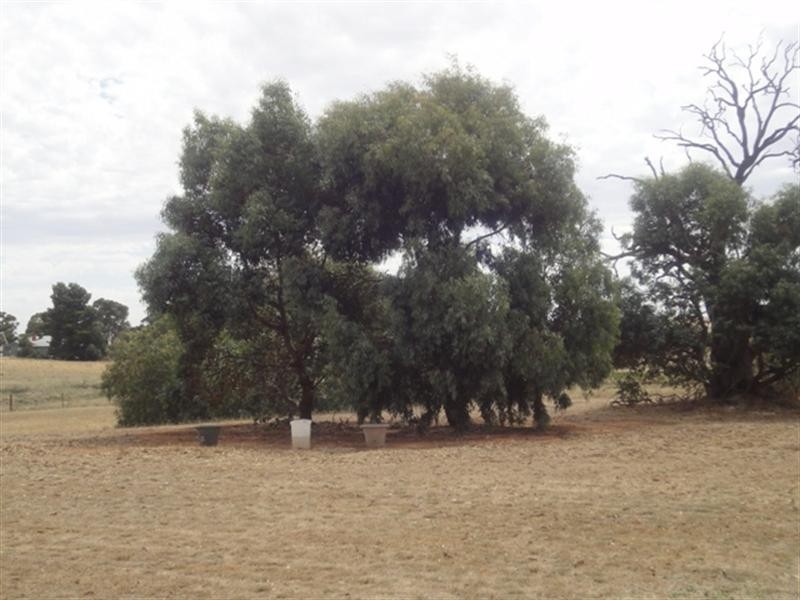 5 Lots on East Terrace, Hallett SA 5419