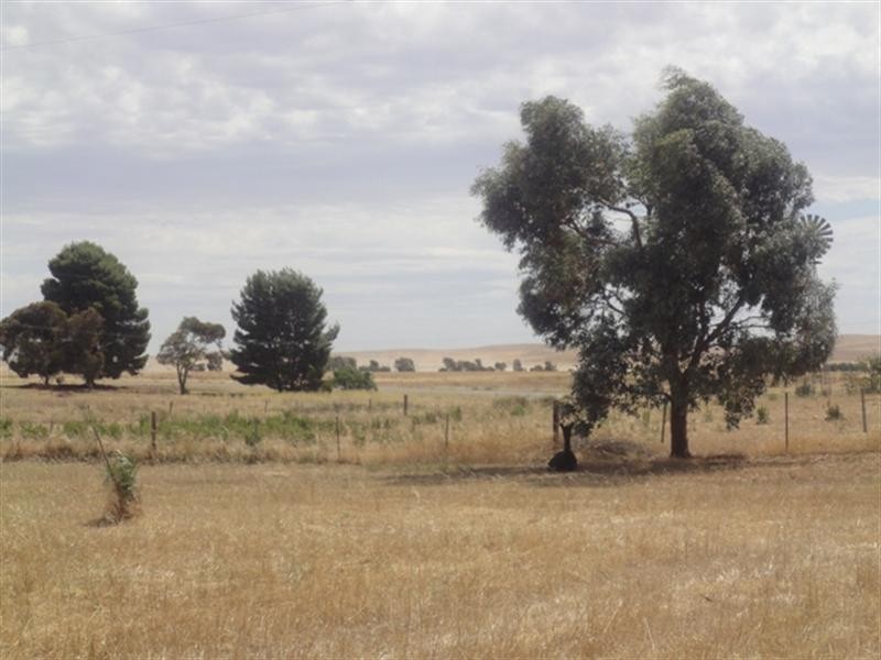 5 Lots on East Terrace, Hallett SA 5419