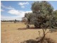 5 Lots on East Terrace, Hallett SA 5419