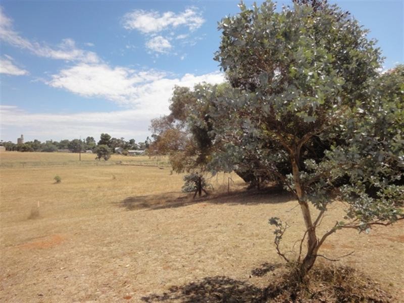 5 Lots on East Terrace, Hallett SA 5419