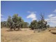 5 Lots on East Terrace, Hallett SA 5419