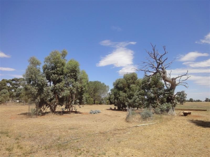 5 Lots on East Terrace, Hallett SA 5419