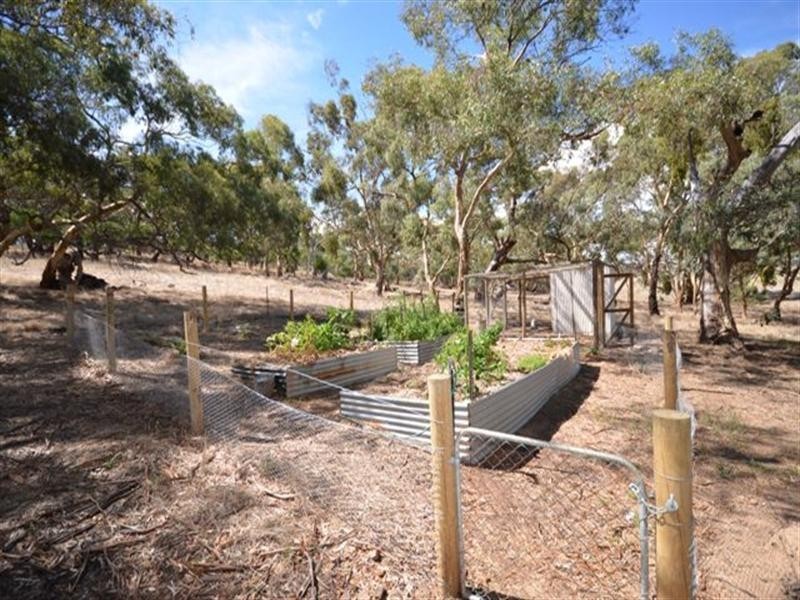 Lot 11 McRae Wood Road, Armagh SA 5453