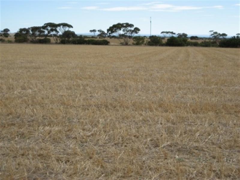 Part Sec 224 Government Road, Price SA 5570