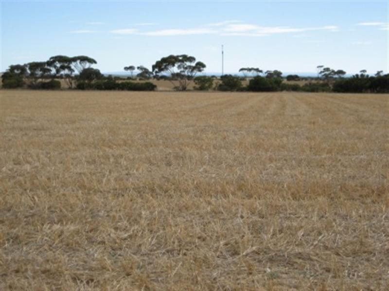 Part Sec 224 Government Road, Price SA 5570