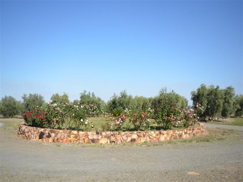 17 Glynn Street, Riverton SA 5412