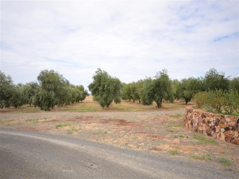 17 Glynn Street, Riverton SA 5412