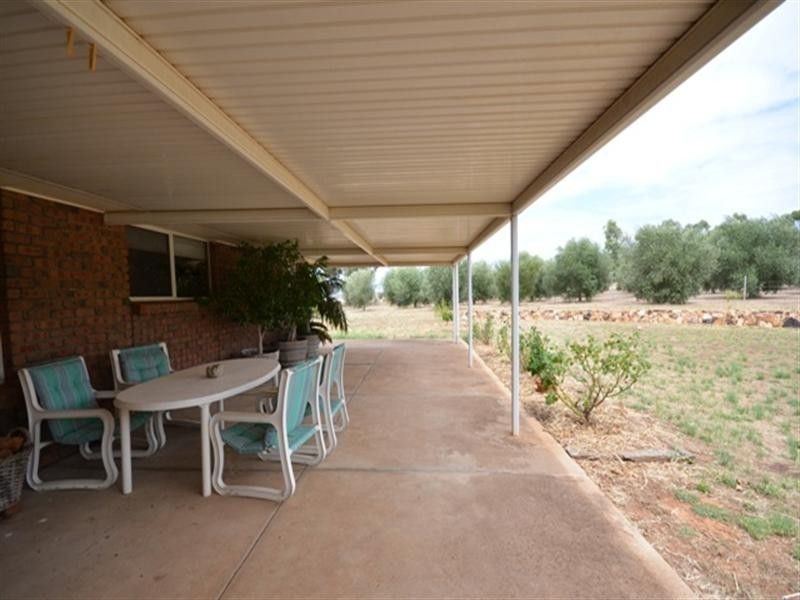 17 Glynn Street, Riverton SA 5412