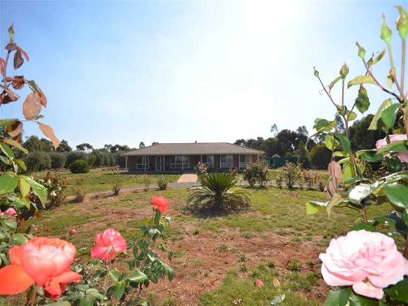 17 Glynn Street, Riverton SA 5412