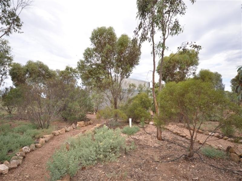 Sec 115 Mallee Road, Eudunda SA 5374