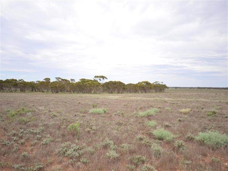 Sec 115 Mallee Road, Eudunda SA 5374