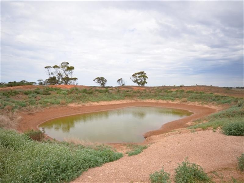 Sec 115 Mallee Road, Eudunda SA 5374