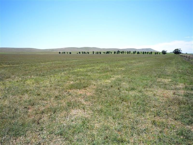 Willacotts and Browns, Burra SA 5417