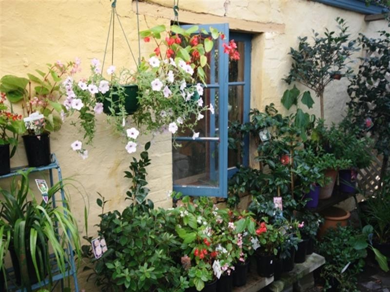 Lot 281 Main North Road, Watervale SA 5452