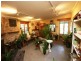 Lot 281 Main North Road, Watervale SA 5452