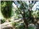 Lot 281 Main North Road, Watervale SA 5452