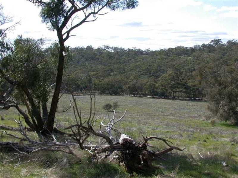 Lot 1 Leighton Road, Spring Gully SA 5453