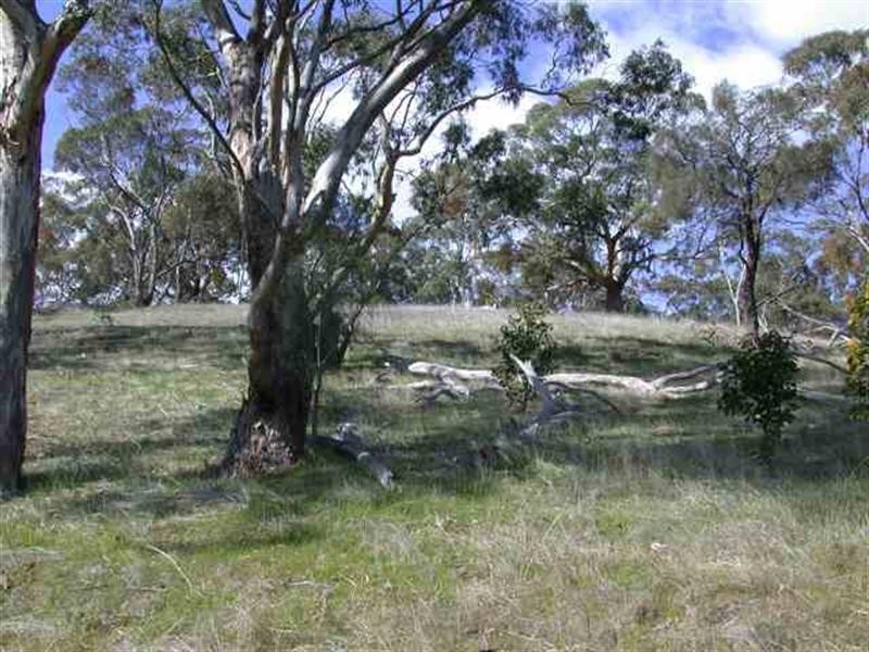 Lot 1 Leighton Road, Spring Gully SA 5453