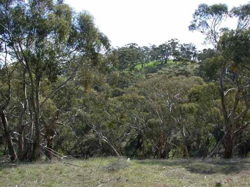 Lot 1 Leighton Road, Spring Gully SA 5453