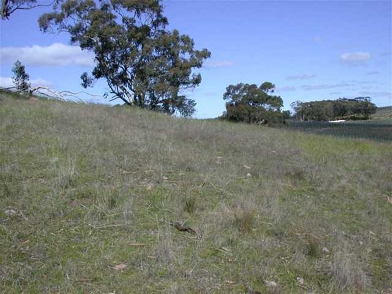 Lot 1 Leighton Road, Spring Gully SA 5453