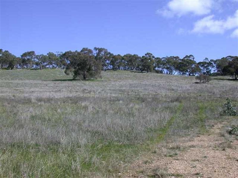 Lot 1 Leighton Road, Spring Gully SA 5453
