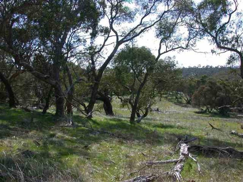Lot 1 Leighton Road, Spring Gully SA 5453