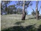 Lot 1 Leighton Road, Spring Gully SA 5453