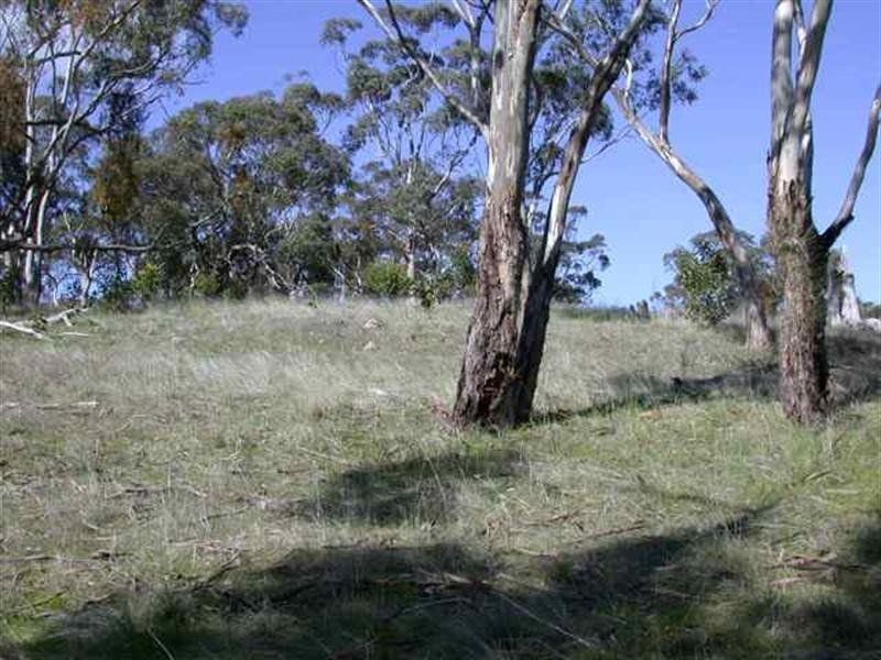 Lot 1 Leighton Road, Spring Gully SA 5453