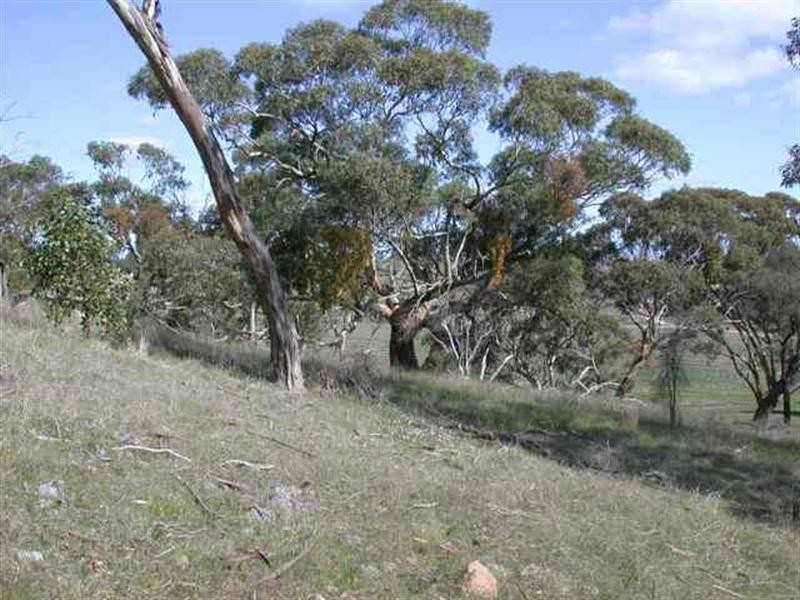 Lot 1 Leighton Road, Spring Gully SA 5453
