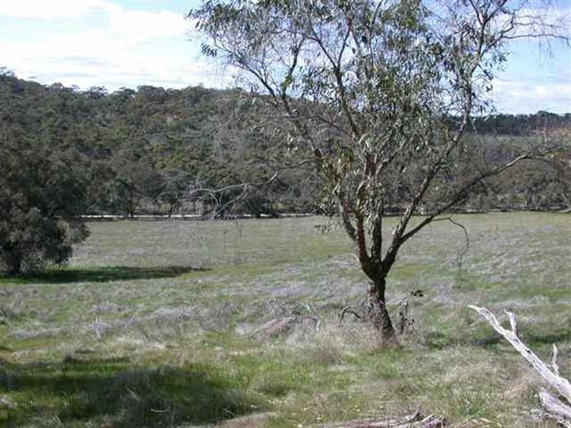 Lot 1 Leighton Road, Spring Gully SA 5453