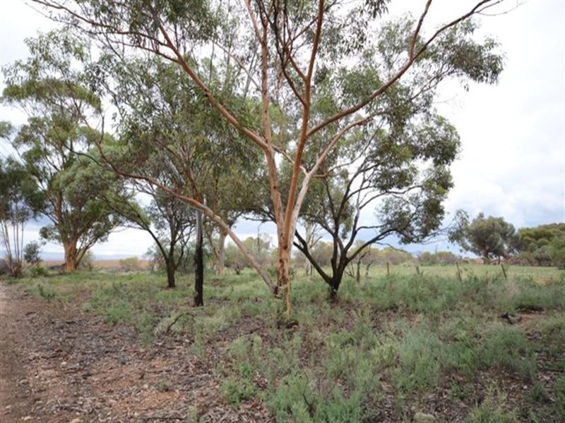 Lot 2 Churches Road, Condowie, Snowtown SA 5520