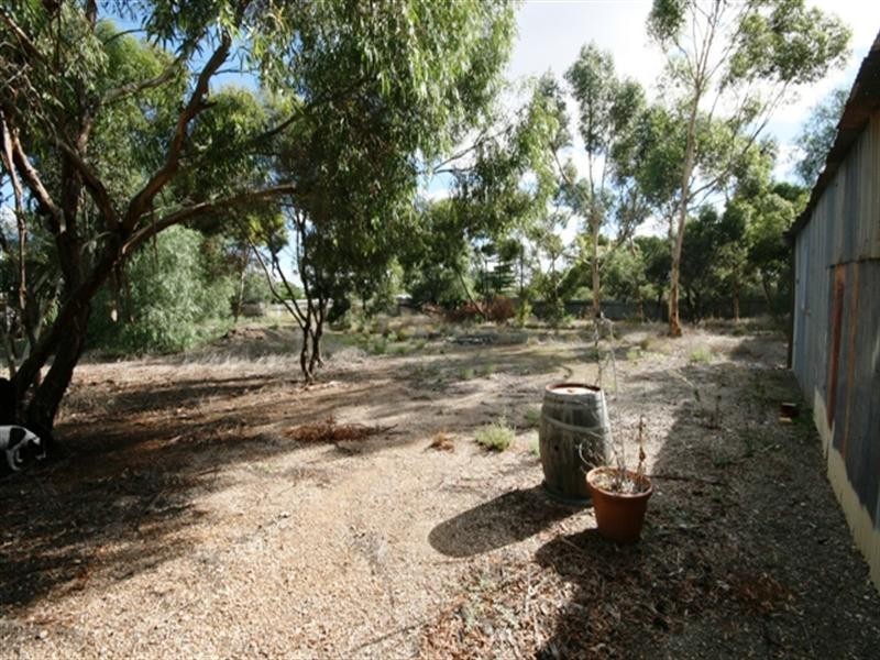 Lot 8 Terminus Street, Hoyleton SA 5453